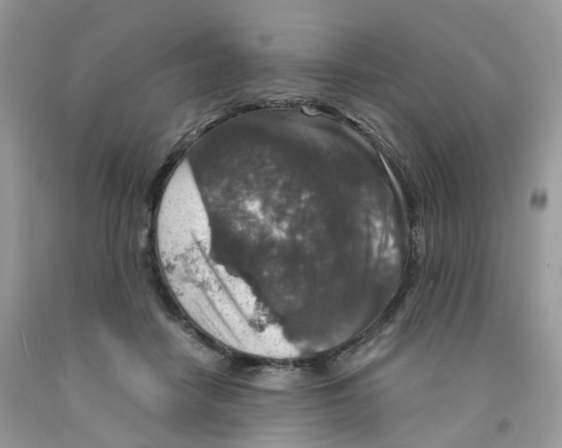 X0000091550458200709141519