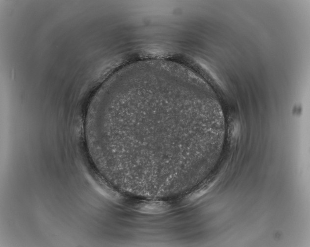 X0000091550459200709141519