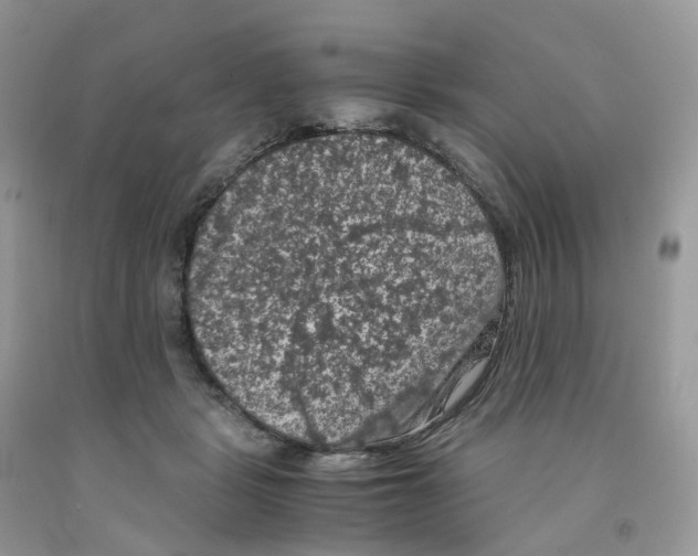 X0000091550461200709141519