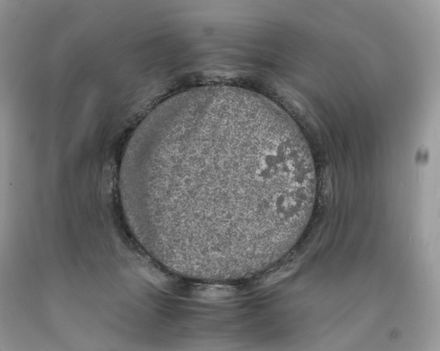 X0000091550463200709141519