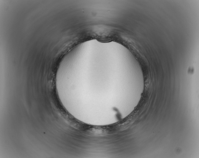 X0000091550464200709141519