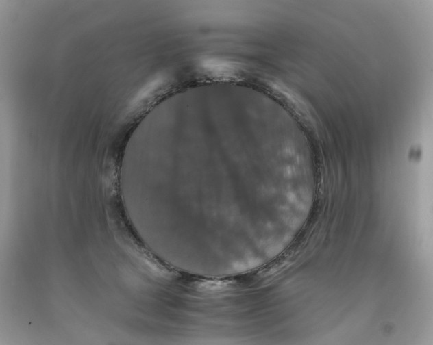 X0000091550465200709141519