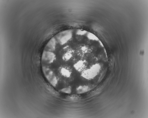 X0000091550466200709141519