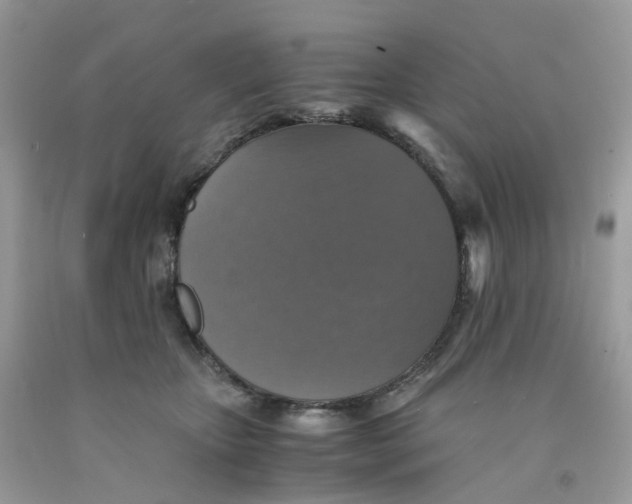 X0000091550467200709141519