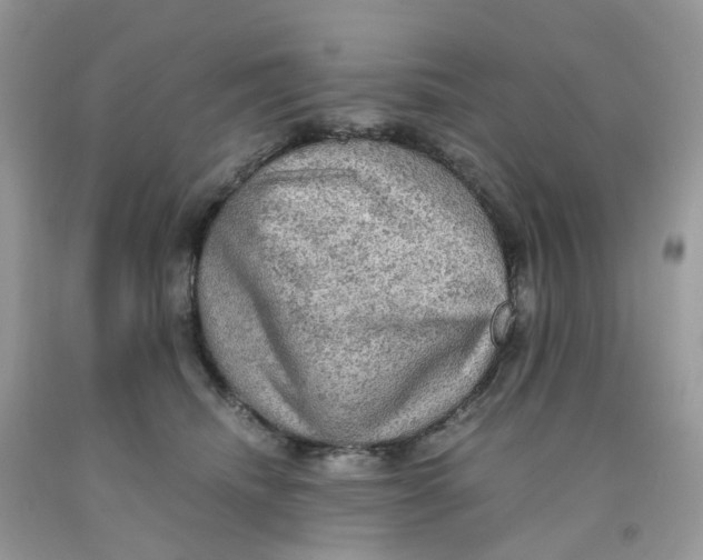 X0000091550468200709141519