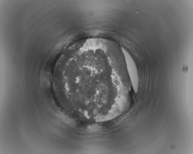 X0000091550470200709141519