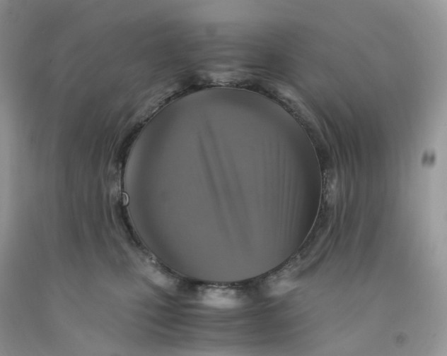 X0000091550471200709141519