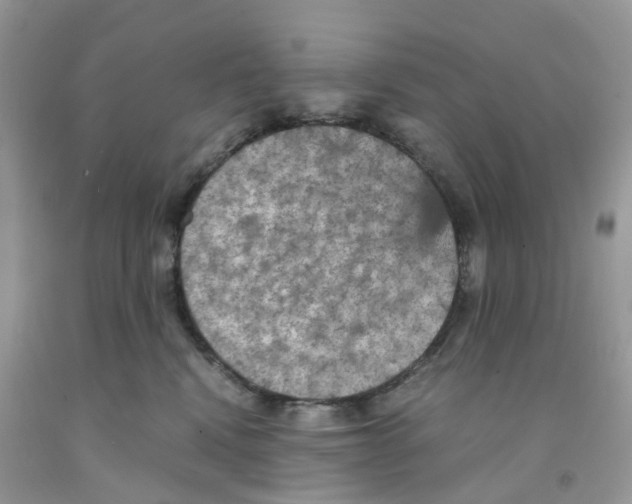 X0000091550472200709141519