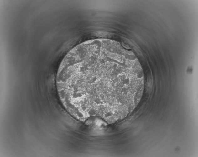 X0000091550473200709141519