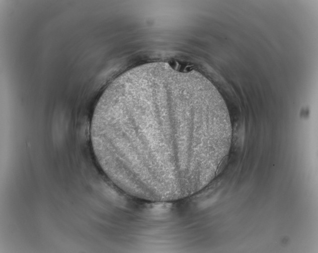 X0000091550474200709141519