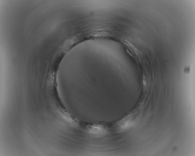 X0000091550475200709141519