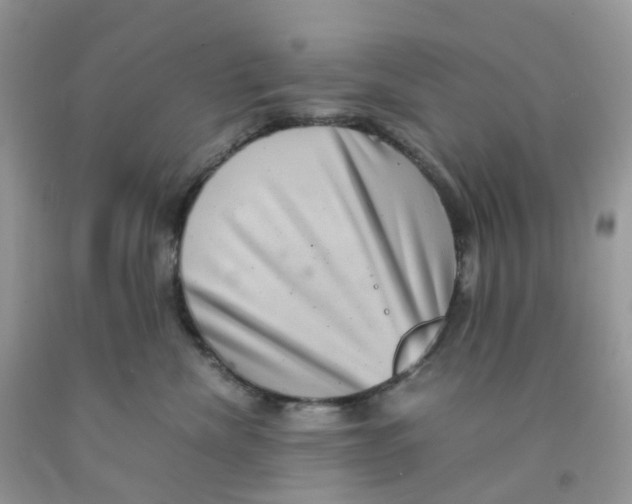 X0000091550476200709141519