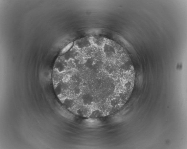 X0000091550477200709141519