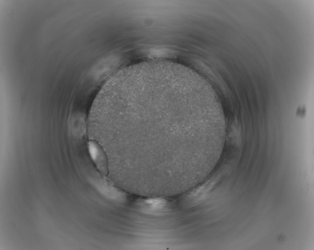 X0000091550478200709141519