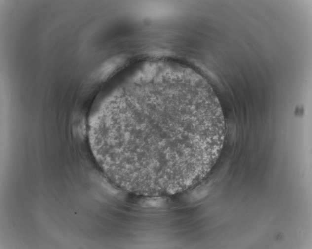 X0000091550479200709141519