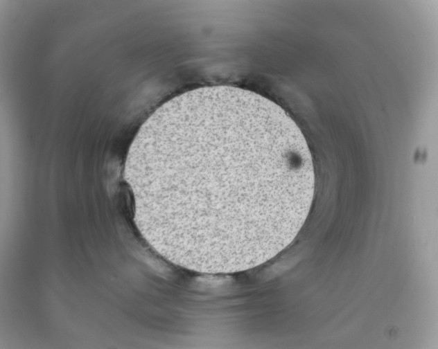 X0000091550480200709141519