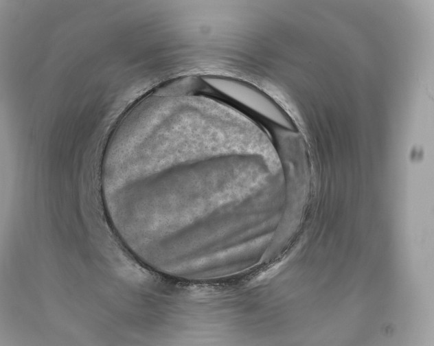 X0000091550481200709141519