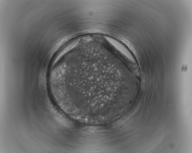 X0000091550482200709141519