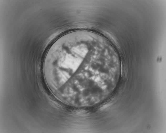 X0000091550483200709141519