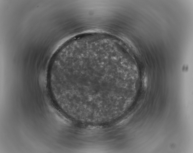 X0000091550484200709141519