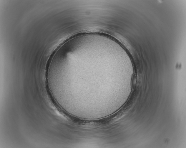 X0000091550485200709141519