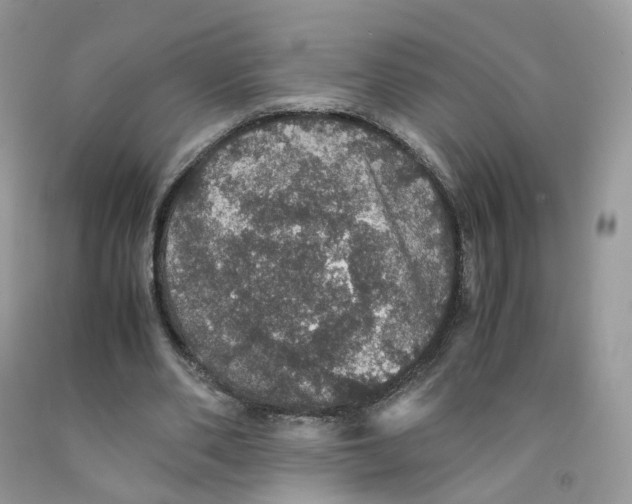 X0000091550486200709141519