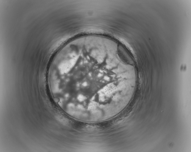 X0000091550487200709141519