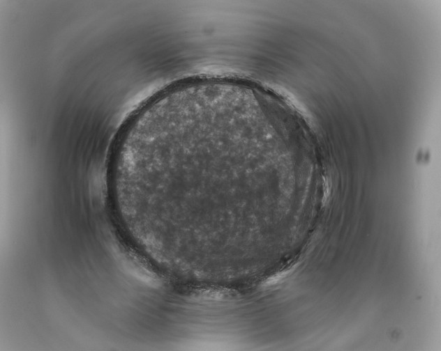 X0000091550488200709141519