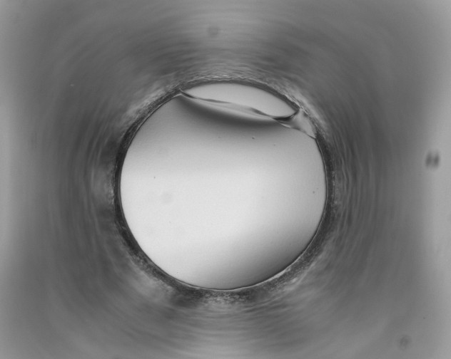 X0000091550489200709141519