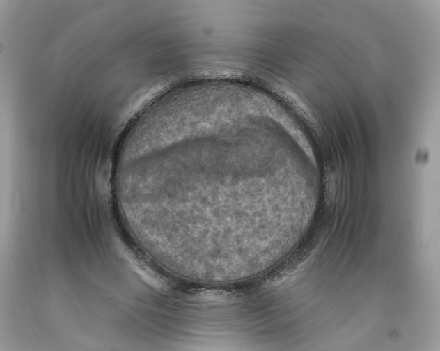 X0000091550490200709141518