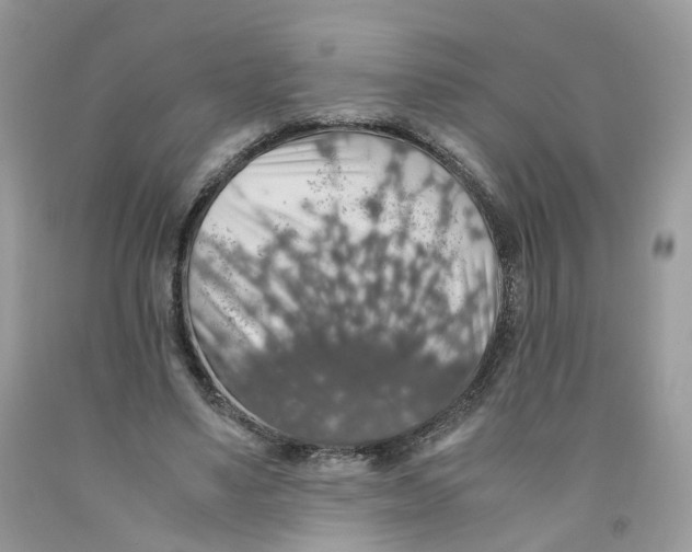 X0000091550491200709141518