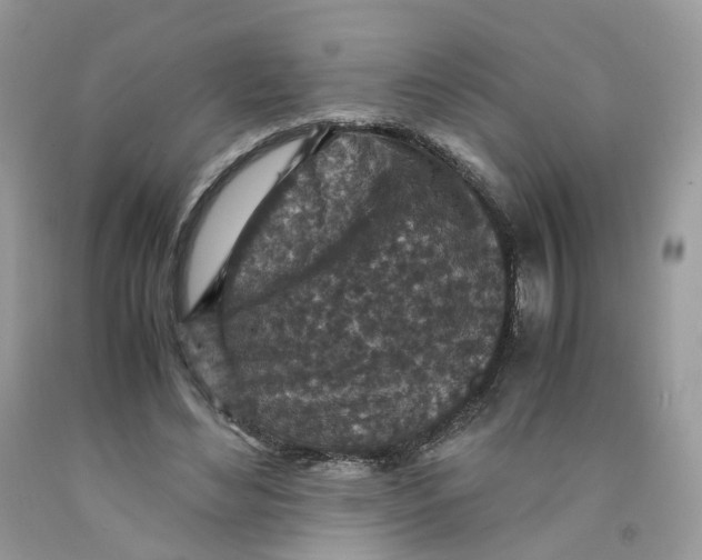 X0000091550492200709141518