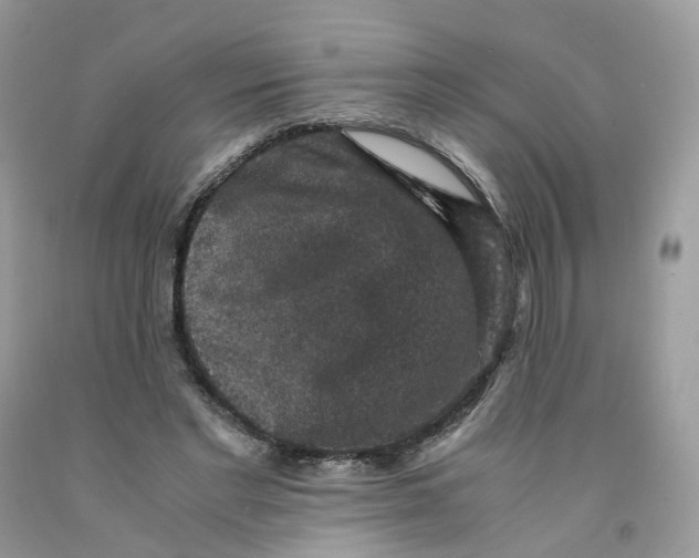 X0000091550493200709141518