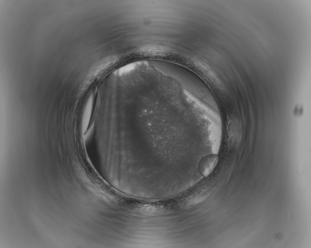 X0000091550494200709141518