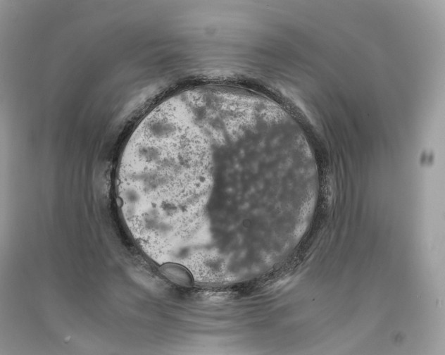 X0000091550495200709141518