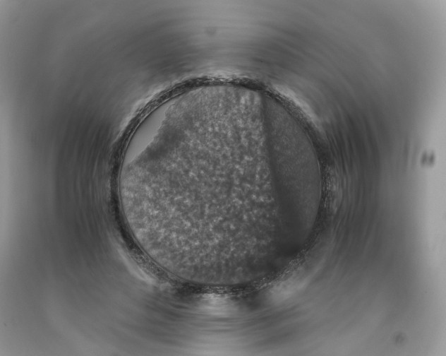 X0000091550496200709141518