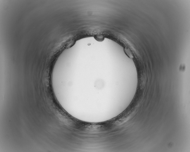 X0000091550497200709141518