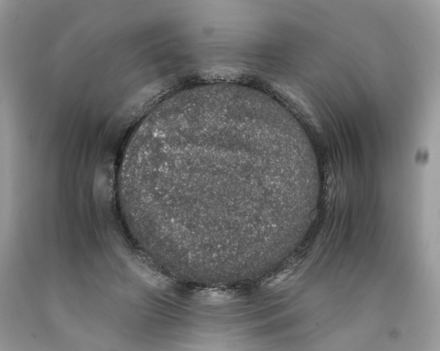 X0000091550498200709141518