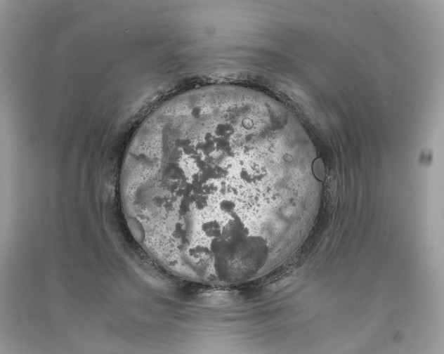 X0000091550499200709141518