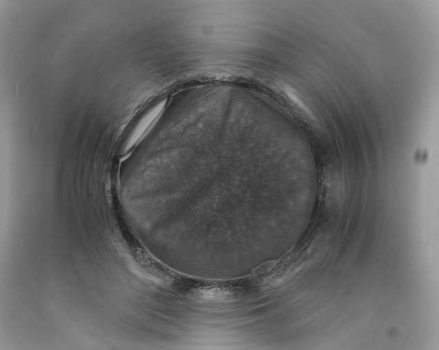 X0000091550500200709141518