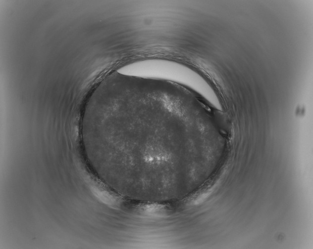 X0000091550501200709141518