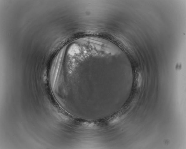 X0000091550502200709141518