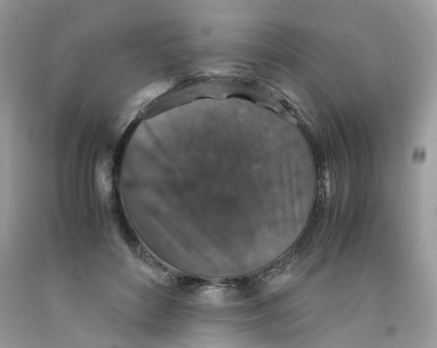 X0000091550504200709141518