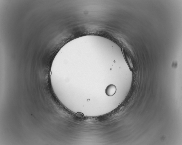 X0000091550505200709141518