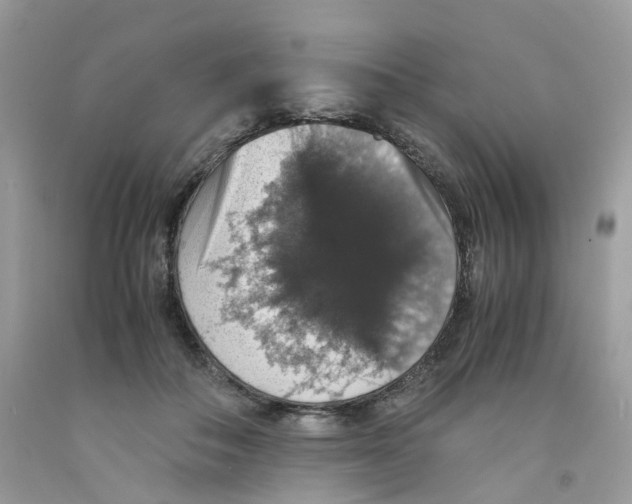 X0000091550506200709141518