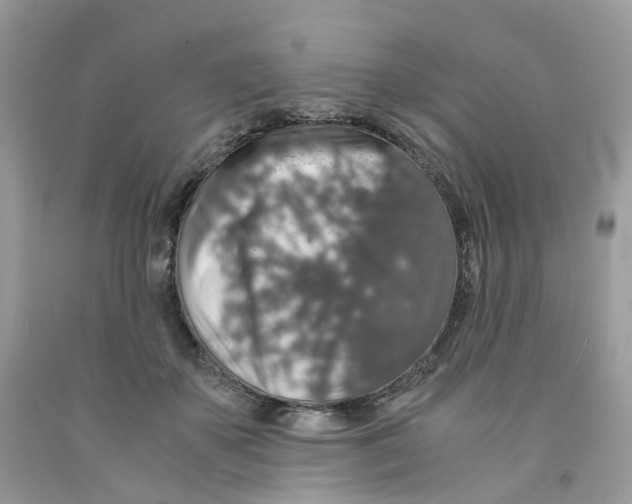 X0000091550507200709141518