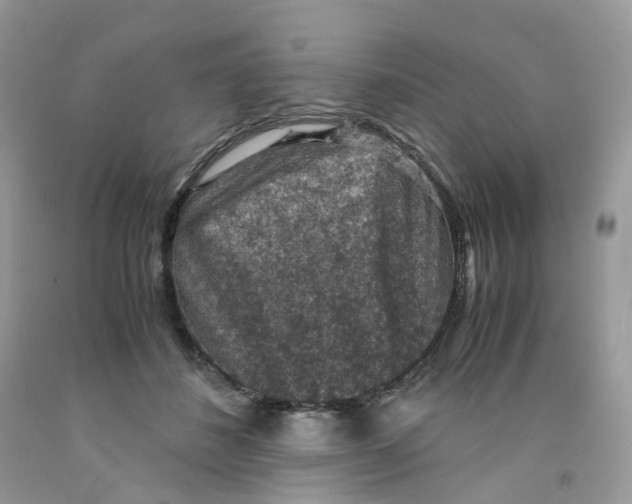 X0000091550508200709141518