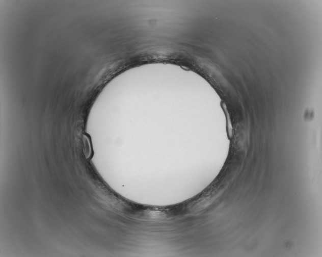 X0000091550509200709141518