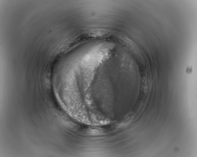 X0000091550510200709141518