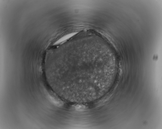 X0000091550512200709141518